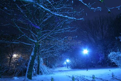 Winter night scene stock photo. Image of cool, falling - 12245674