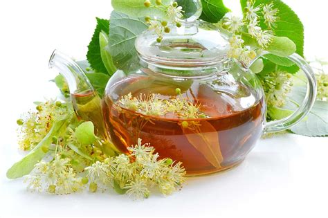 Beneficios del té de tilo para tu salud - Chapin Radios