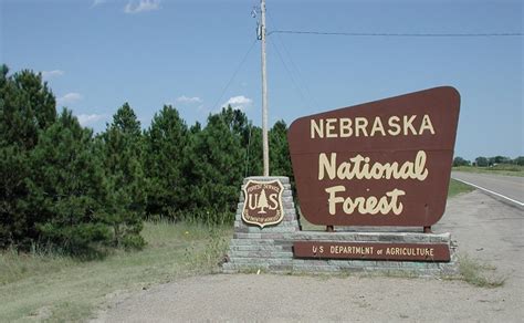 nebraskaforestaugust2001