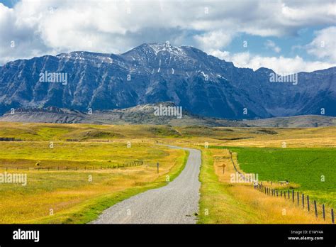 Gravel road, foothills, Longview, Alberta, Canada Stock Photo, Royalty ...