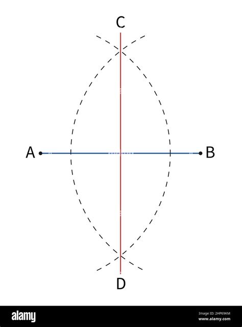 diagram of how to bisect line segment with compass, geometry education ...