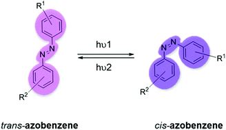 Azobenzene-based small molecular photoswitches for protein modulation - Organic & Biomolecular ...