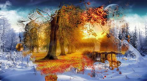 Autumn to Winter, fall, autumn, collage, trees, seasons, winter, leaves, snow, HD wallpaper | Peakpx