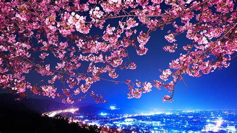 1920x1080px, 1080P free download | Japan City View During Nighttime ...