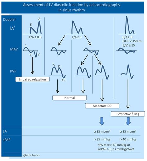 Pin on Cardiac sonography