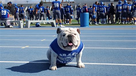 Drake University live mascot Griff to retire in June - Drake University ...