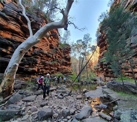 Flinders Ranges Guided Walking & Hiking Tours