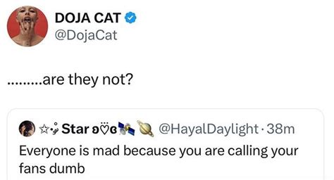 Doja Cat says her fans are dumb, in response to a comment on Twitter