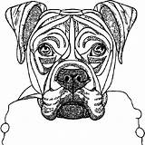 Adult Coloring Book Page Boxer Dog · Creative Fabrica sketch template