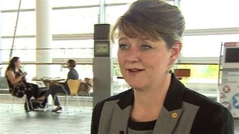 Plaid Cymru leader: Welsh independence 'still far off' - BBC News