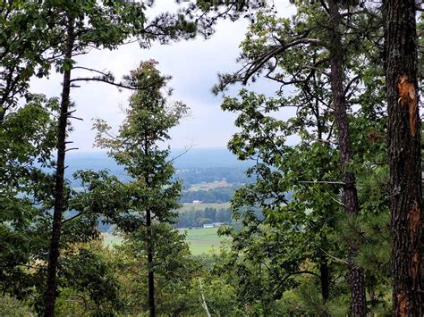 Pilot Mountain Hiking Trails: Everything You Need to Know » Trying to Unwind