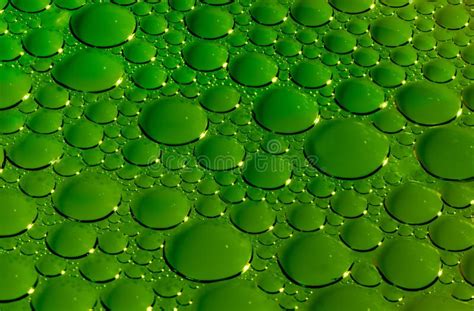 Green bubbles texture stock image. Image of wallpaper - 52013479