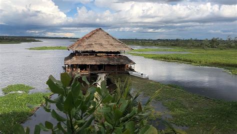 Buy Iquitos, Peru: a hidden city in the Amazon jungle Online at desertcartUAE