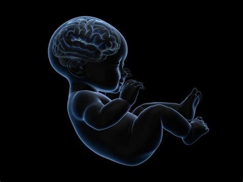 How Marijuana Exposure Affects Developing Babies’ Brains - Science in ...