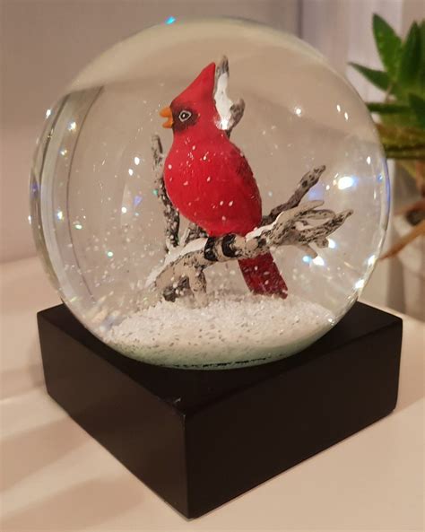 Cardinal snow globe | Snow globes, Globe, Snow