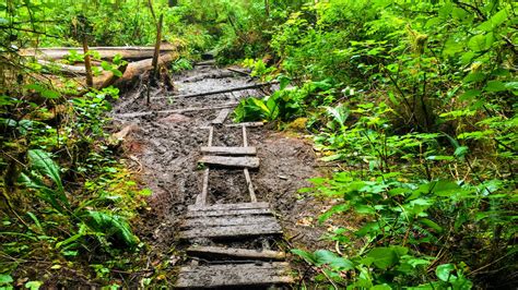 The West Coast Trail | BOOMER Magazine