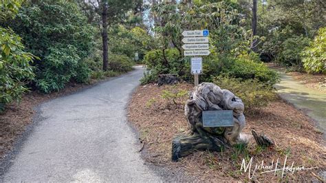 Mendocino Coast Botanical Gardens: rhododendrons, ocean views, whales ...