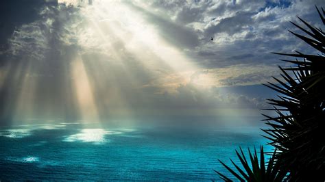 22+ Beach Sunray Wallpapers for Desktop | Design Trends - Premium PSD, Vector Downloads