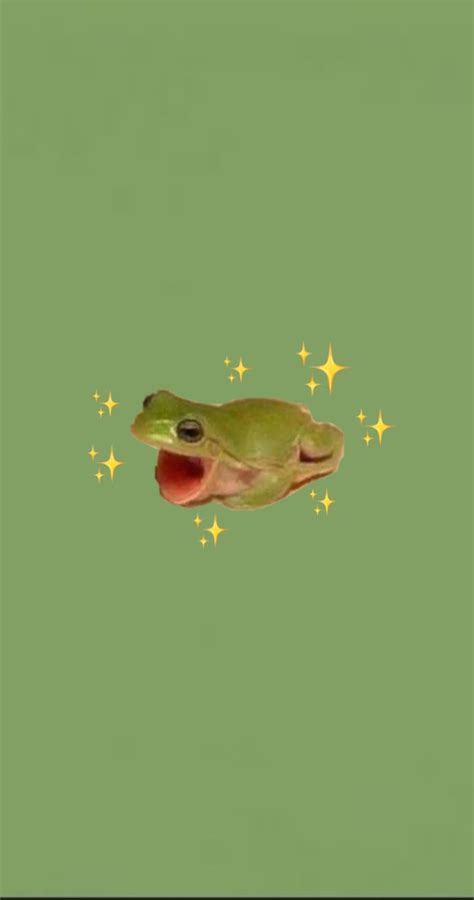 Frog Pics Aesthetic : Bob Venables Illustration | Exchrisnge