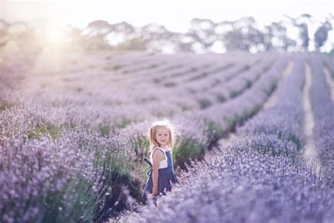 Yanchep Lavender Farm Mini Session