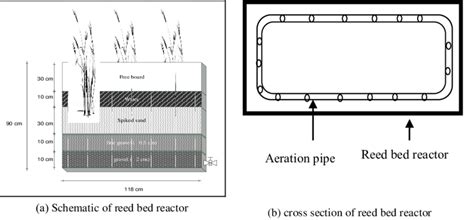 Design of reed bed system | Download Scientific Diagram