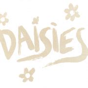 Daisies PNG Picture - PNG All | PNG All