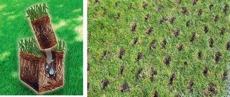 3 Benefits of Aerating Your Lawn - Turf Masters Lawn Care | Turf Masters Lawn Care