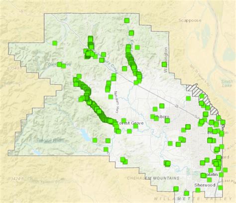 2020 Knotweed Season Recap - Tualatin Soil and Water Conservation District