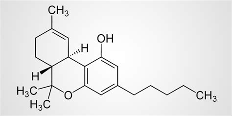 THC: Everything You Need To Know About Delta9-Tetrahydrocannabinol