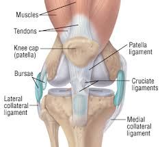 Patellar Tracking Disorder-Symptoms, Causes, Treatment and Prevention - 9INE POINT