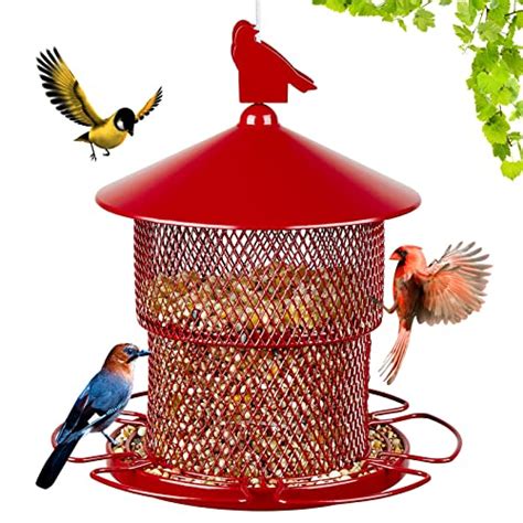 How To Choose The Best Rat Proof Bird Feeder - Spicer Castle