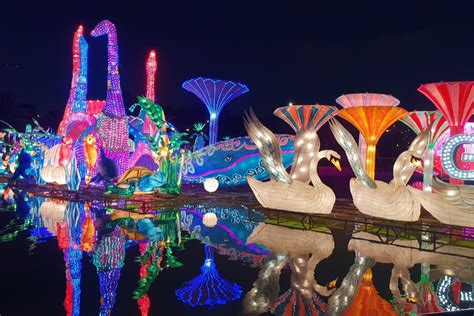 Dubai Garden Glow Returns For Season 10 - Winter 2024-25