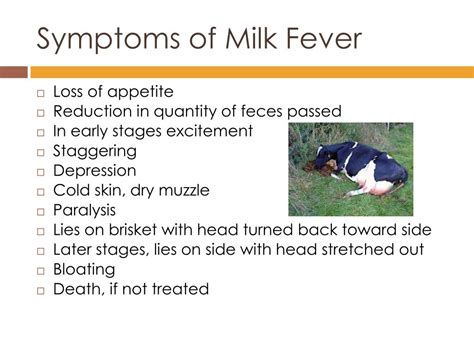 PPT - Dairy Herd Health PowerPoint Presentation, free download - ID:5688427