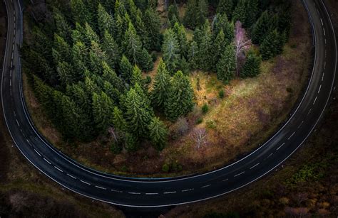 aerial view, road, asphalt, trees, landscape, forest, top view HD Wallpaper