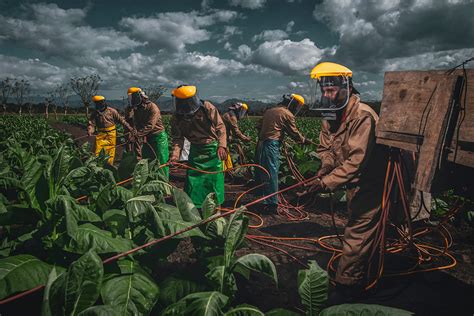 Business leaders tackling modern slavery in their supply chains