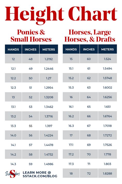 Horse Height Chart – NBKomputer