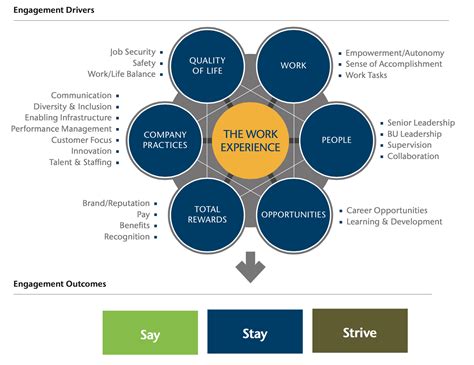 Model of Employee Engagement | Human Resources and Team Development Specialists