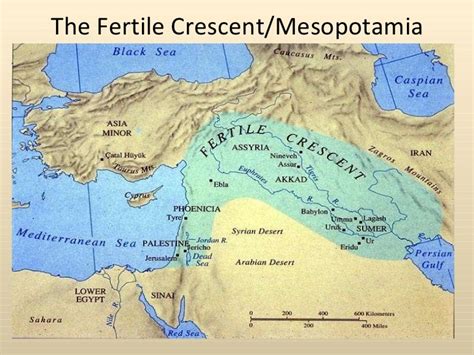 Fertile Crescent Map | Ancient History Quiz - Quizizz