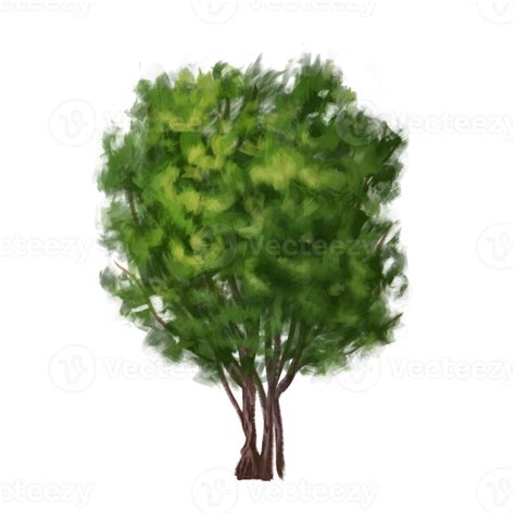 A green bush with bright foliage. Drawing of a green plant from the forest, hiking trails ...