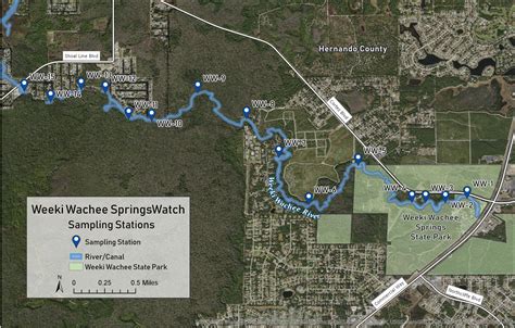 SpringsWatch: Weeki Wachee River – Florida Springs Institute