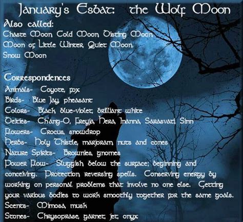 Full Wolf Moon – January | Moon witch, Wolf moon, Moon meaning