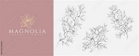 Magnolia flower logo and branch set. Hand drawn line wedding herb ...