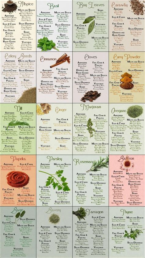 Herb & Spices Cheatsheet - Pretty much saved my cooking. | Spice chart, Spices, Herbs