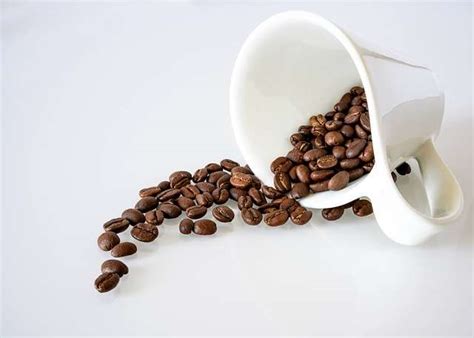 White Coffee Mugs - Top Cafe Blog