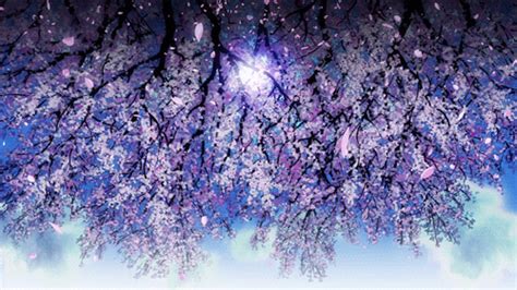 Cherry blossom gif | Wiki | Anime Amino