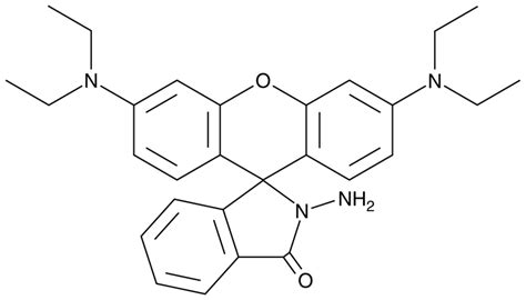 Rhodamine B hydrazide | CAS 74317-53-6 | Cayman Chemical | Biomol.com