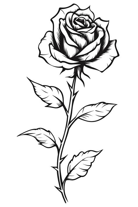 Premium Photo | A drawing of a rose with leaves on a white background generative ai