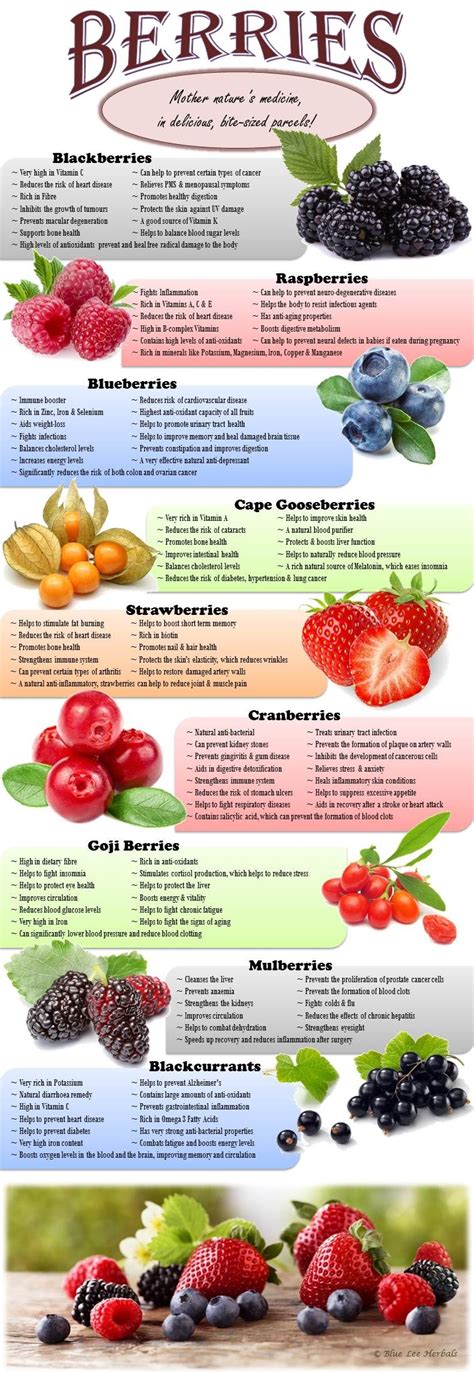 The Benefits of Berries | Food health benefits, Fruit benefits, Herbs ...