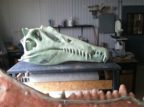 Spinosaurus skull — Tyler Keillor