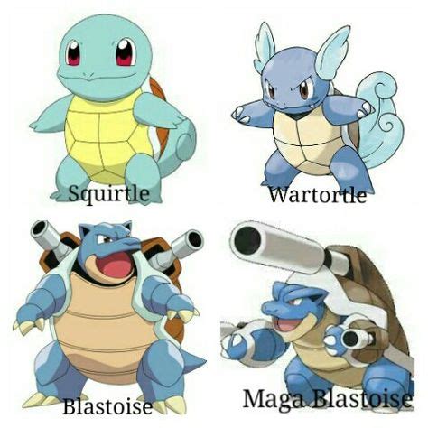 Charmander Squirtle Bulbasaur Evolution